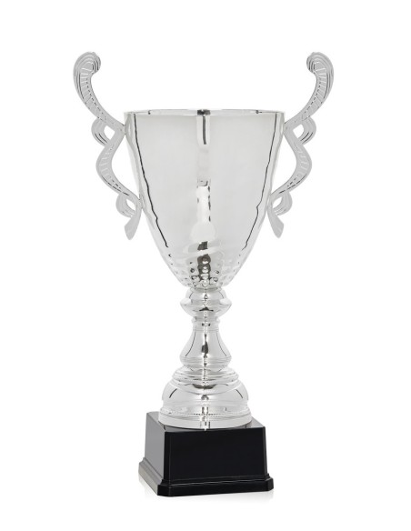 Copa Promocion Plata