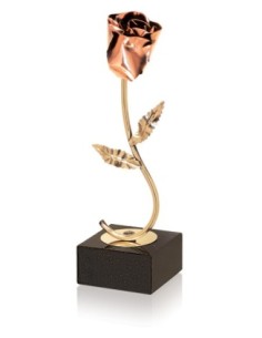 TROFEO SOLDART ROSA