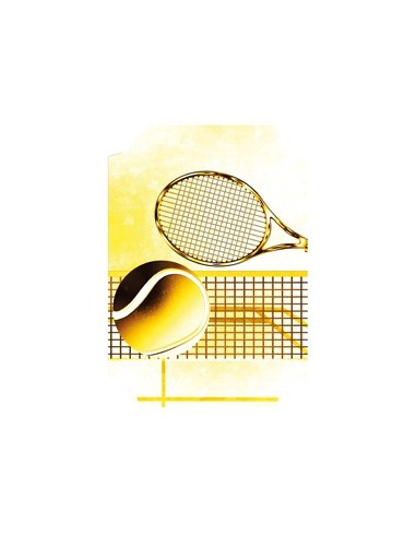 26/27 APLIQUE MDF TENIS - J07