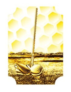 26/27 APLIQUE MDF GOLF - J10