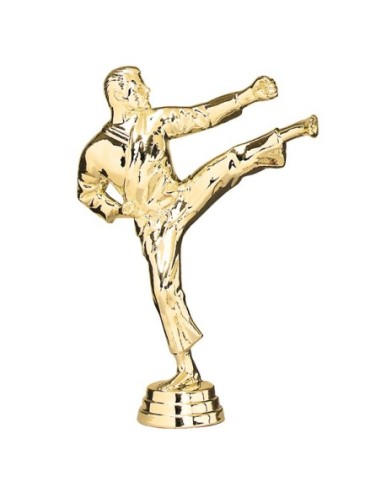 FIGURIN ABS ARTES MARCIALES