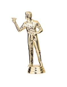 FIGURIN ABS DARDOS - D10