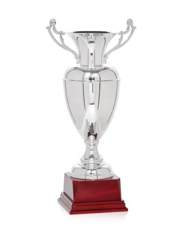 Copa Lujo y Diseño Plata - 104-6661