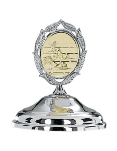 TAPA METAL DIAM. 100 PLATA - WS10C