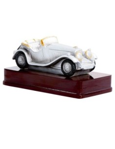 RESINA MOTOR 10 x 18 CM