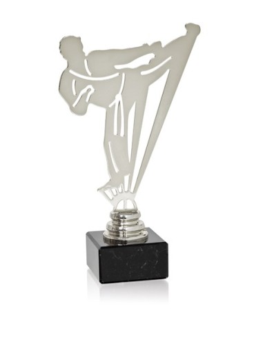 TROFEO METAL ARTES MARCIALES SERIE NTS METAL