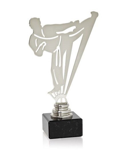 TROFEO METAL ARTES MARCIALES SERIE NTS METAL