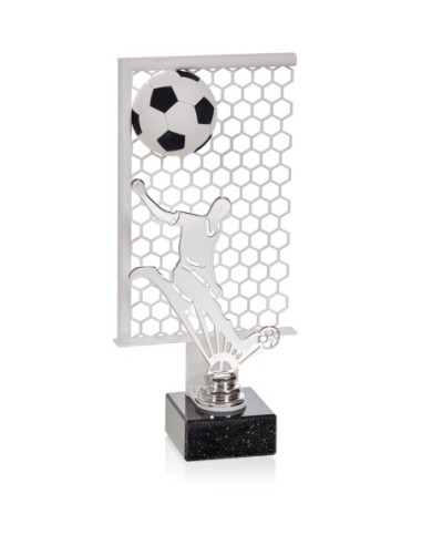 SERIE NTX FÚTBOL