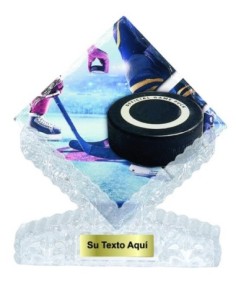 T. CERAMICA HOCKEY 25 cm