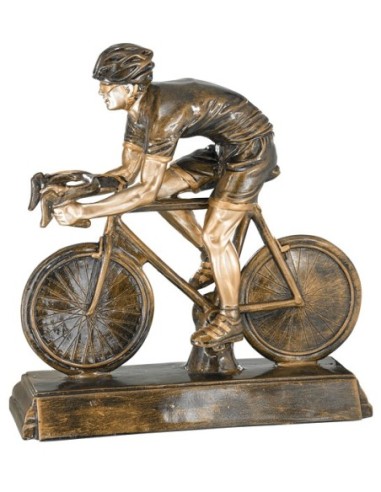 RESINA CICLISMO DE CARRETERA 37 x 34 CM