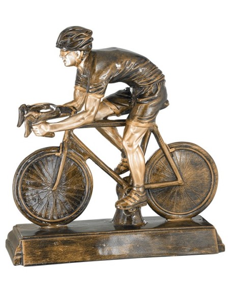 RESINA CICLISMO DE CARRETERA 37 x 34 CM