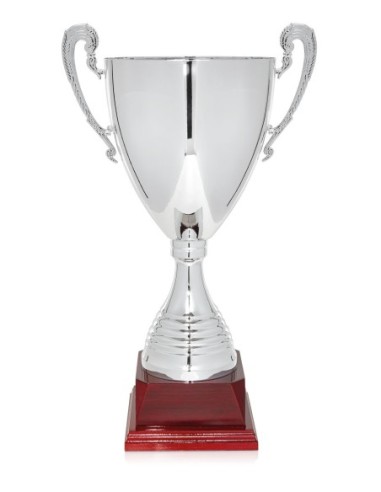 Copa Línea Lujo Plata - 106-6741