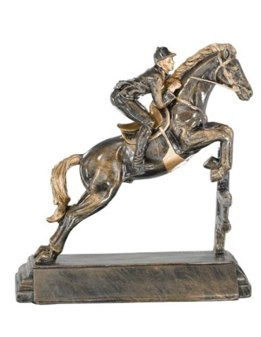 RESINA EQUITACION 23 CM - 52538