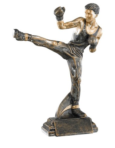 RESINA ARTES MARCIALES 27 CM