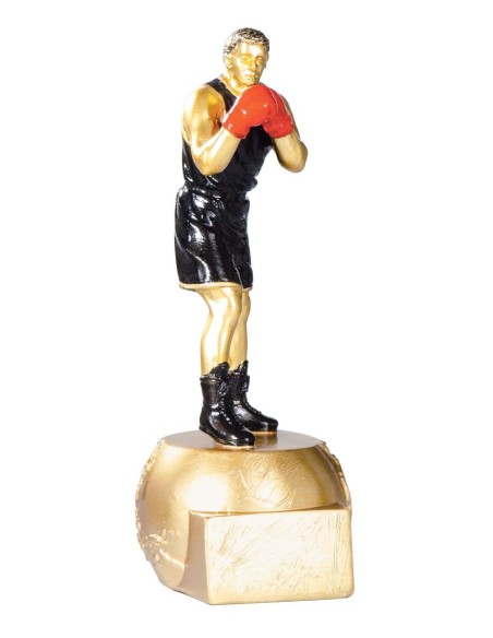 RESINA BOXEO 20 cm