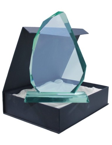 Trofeo de Cristal - 808