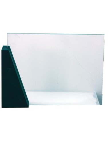 Trofeo de Cristal - 832