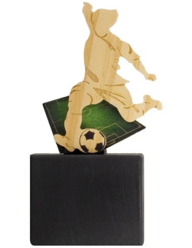Trofeo de Resina Fútbol - 6208