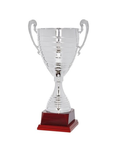 Copa Lujo y Diseño Plata - 108-4751
