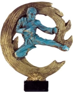 Trofeo de Resina Karate - 6481