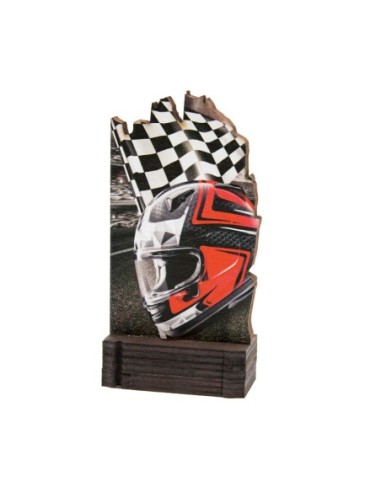 26/27 TROFEO MADERA MOTOR .