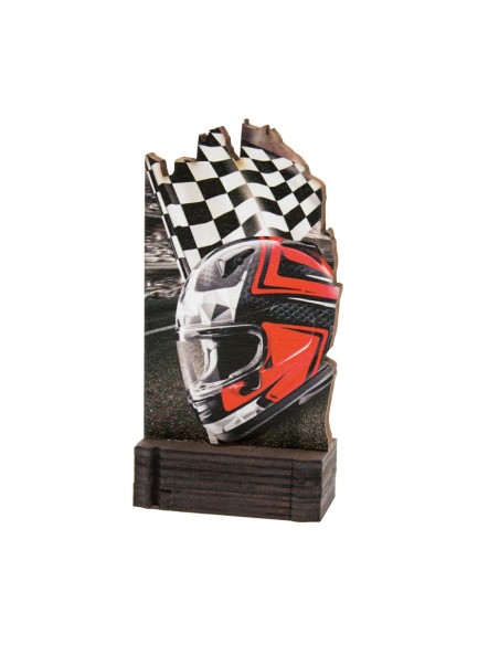 26/27 TROFEO MADERA MOTOR .