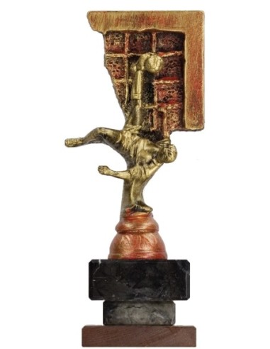 Trofeo de Resina Fútbol - 6518