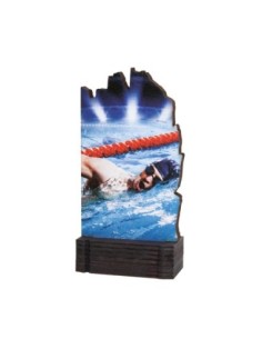 26/27 TROFEO MADERA NATACION .