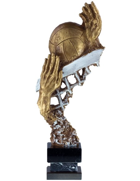 Trofeo de Resina Voley - 6639