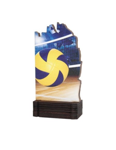 26/27 TROFEO MADERA VOLEIBOL .