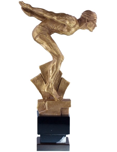 Trofeo de Resina Natación - 6702