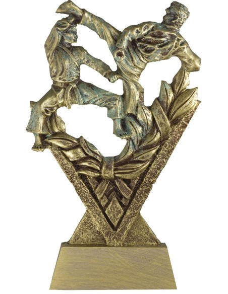 Trofeo de Resina Karate - 6859