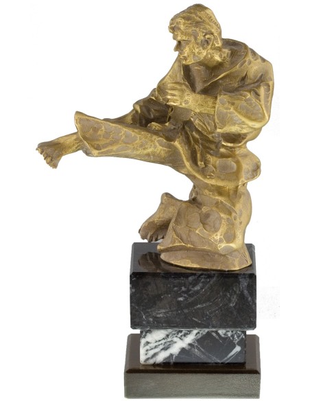 Trofeo de Resina Karate - 6860