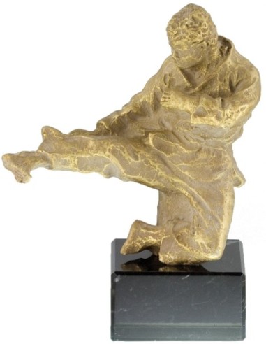 Trofeo de Resina Karate - 6861
