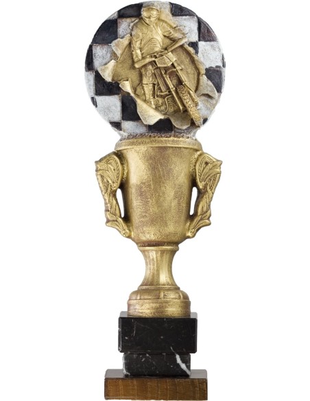 Trofeo de Resina Motor - 6874