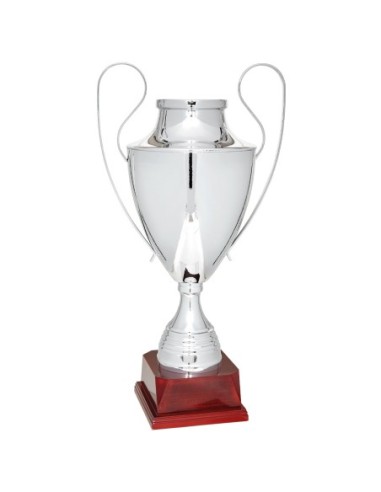 Copa Lujo y Diseño Plata - 112-6121