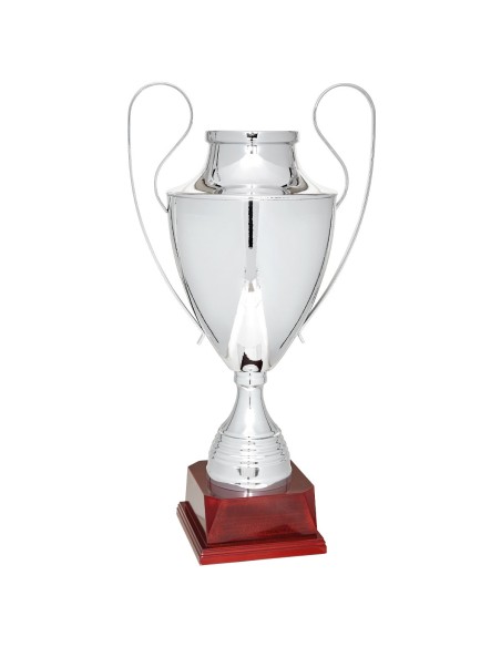 Copa Lujo y Diseño Plata - 112-6121