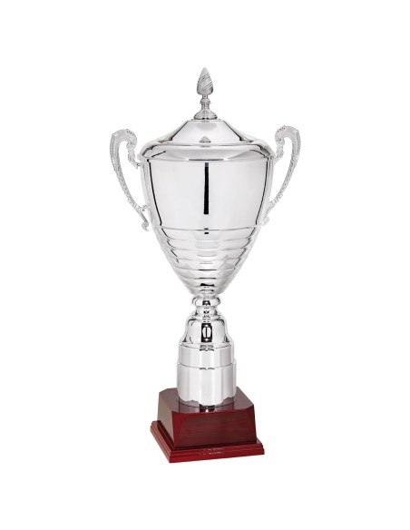 Copa Lujo y Diseño Plata - 112-9701