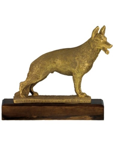 Trofeo de Resina Perro - 7248