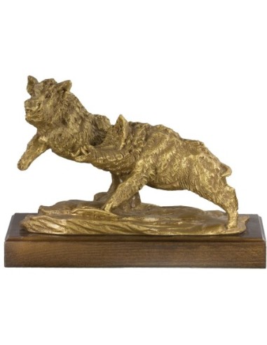 Trofeo de Resina Jabalies Lucha - 7285