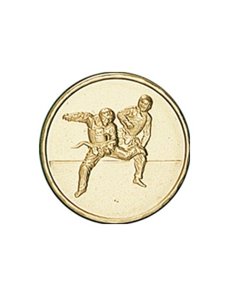 DISCO DORADO KARATE Ø 2,5 CM - LD117