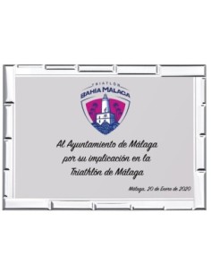 PLACA CONMEMORATIVA - 131-5071
