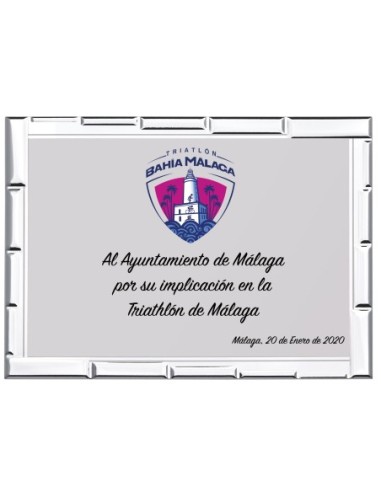 PLACA CONMEMORATIVA - 131-5071