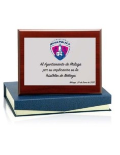 PLACA, MADERA Y ESTUCHE 11 X 7 CM PLATA 2
