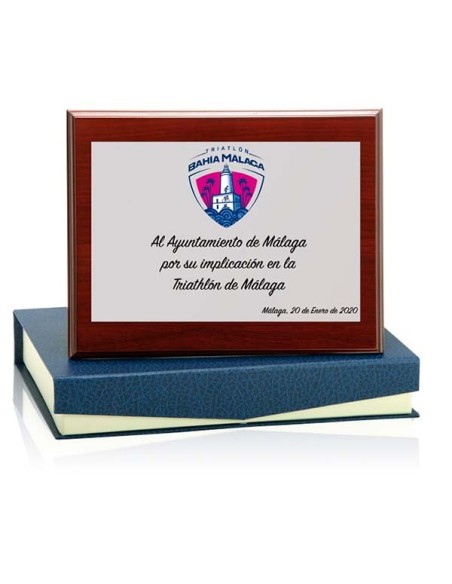 PLACA, MADERA Y ESTUCHE 11 X 7 CM PLATA