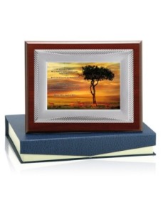 PLACA CONMEMORATIVA - 132-511 2