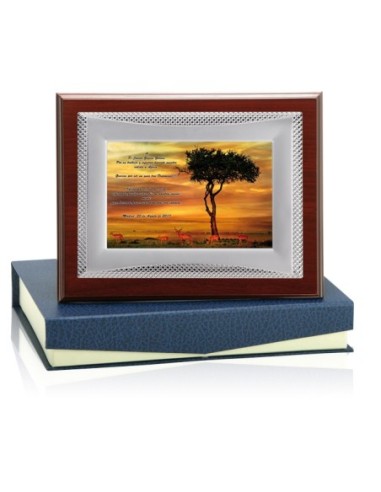 PLACA CONMEMORATIVA - 132-511