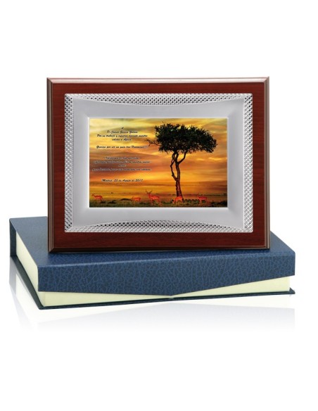 PLACA CONMEMORATIVA - 132-511