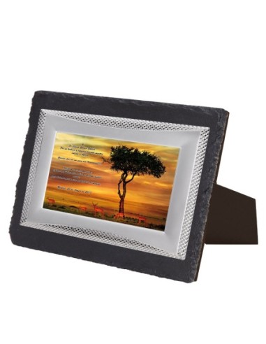 PLACA CONMEMORATIVA - 132-511