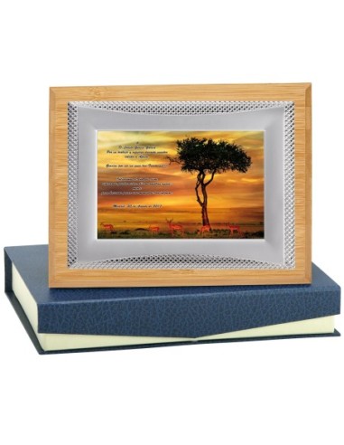 PLACA CONMEMORATIVA - 132-511